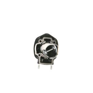 1A010719 - Gruppo Cilindro Pistone - Quartz - NRG - Piaggio